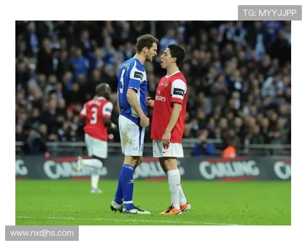 伯明翰足球俱乐部：英格兰足坛的璀璨明星与历史传承